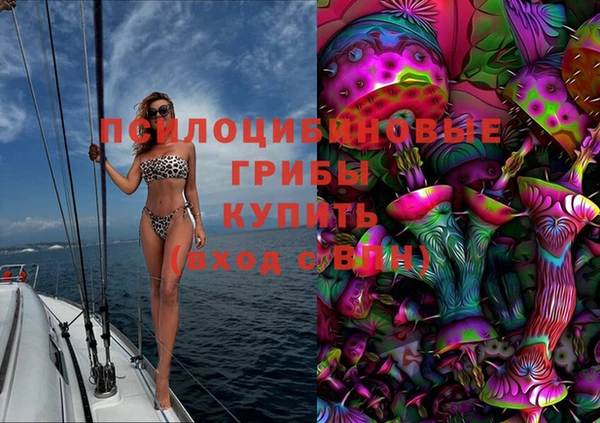 прущие крисы Балахна